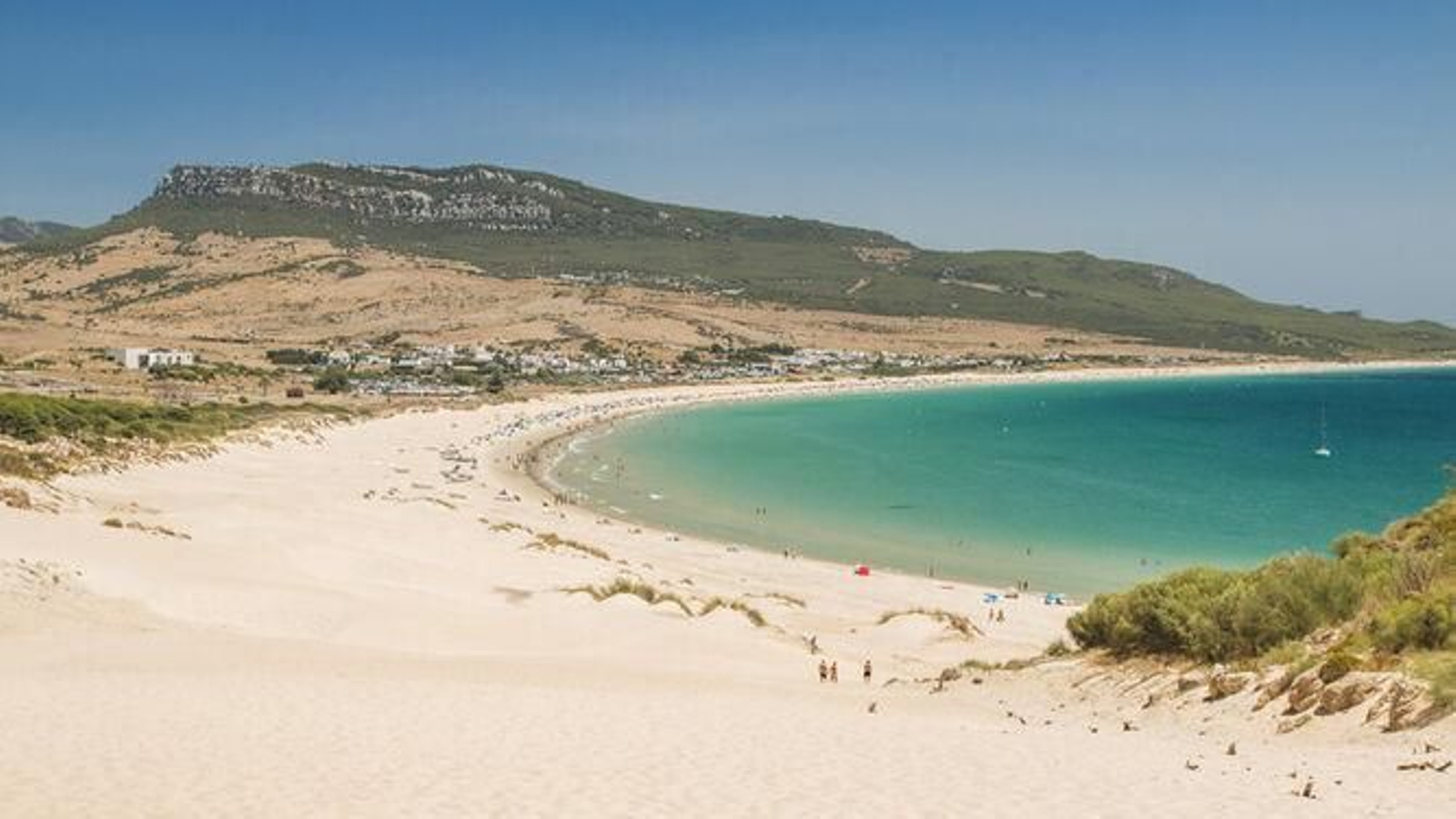 La playa de Bolonia, en Tarifa, vista desde la parte superior de su gran duna. La playa de Bolonia, en Tarifa, vista desde la parte superior de su gran duna.