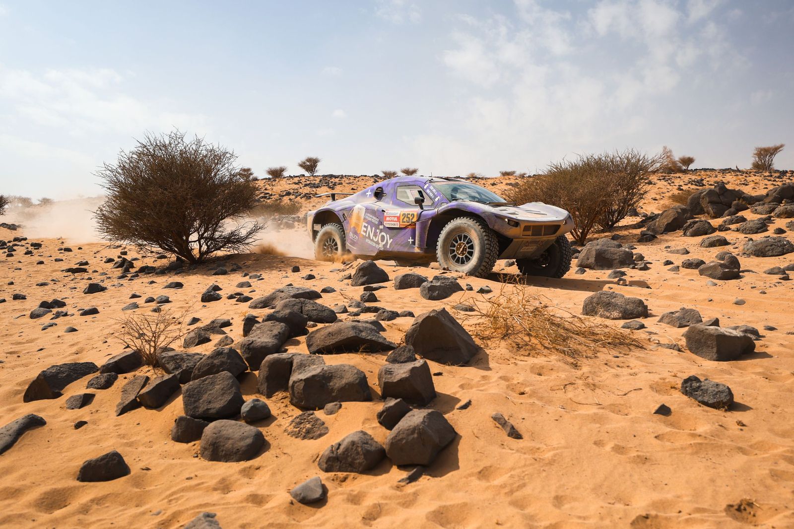 Las mejores fotos del Rally Dakar | undécima etapa