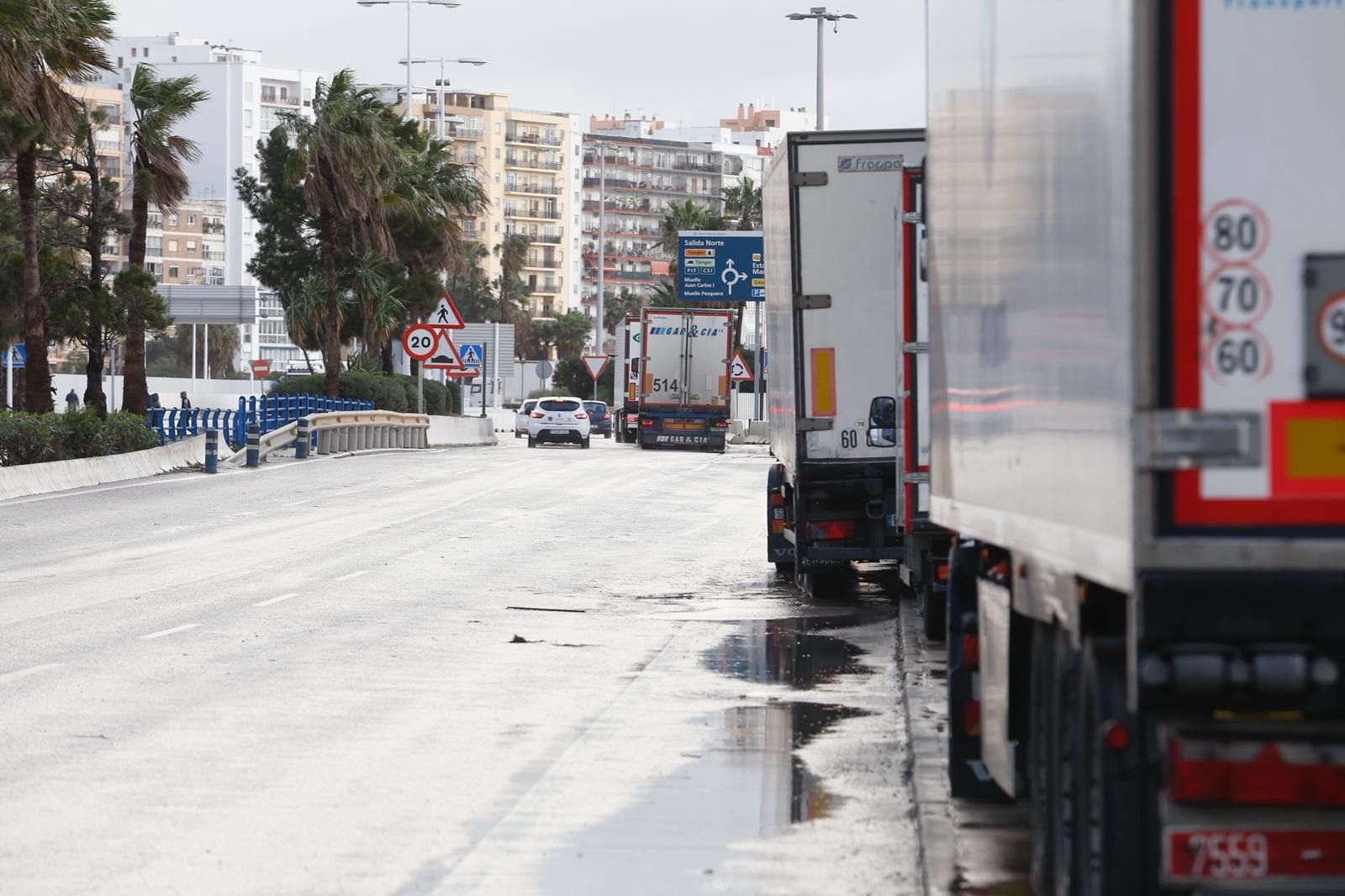 Camiones este viernes en el Puerto de Algeciras.