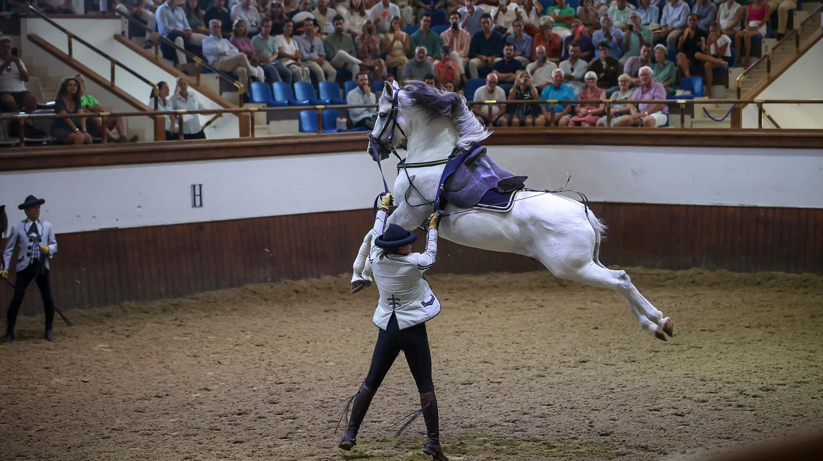 'Día Mundial del Caballo' en la Real Escuela de Jerez