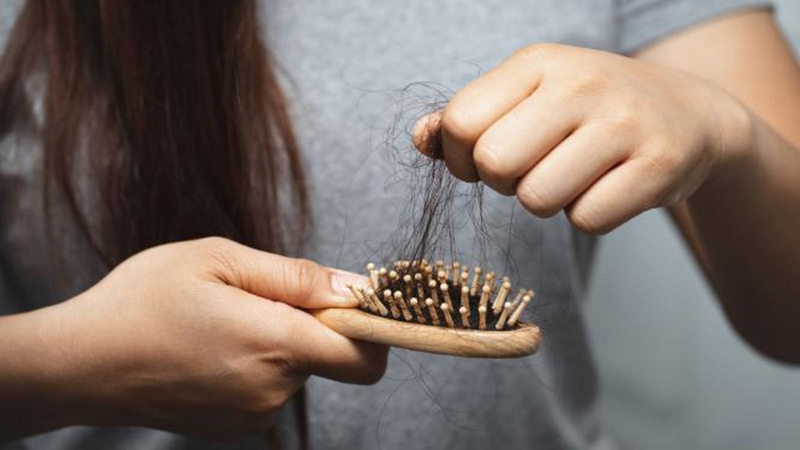 Restos de cabello que se caen al cepillarlo.
