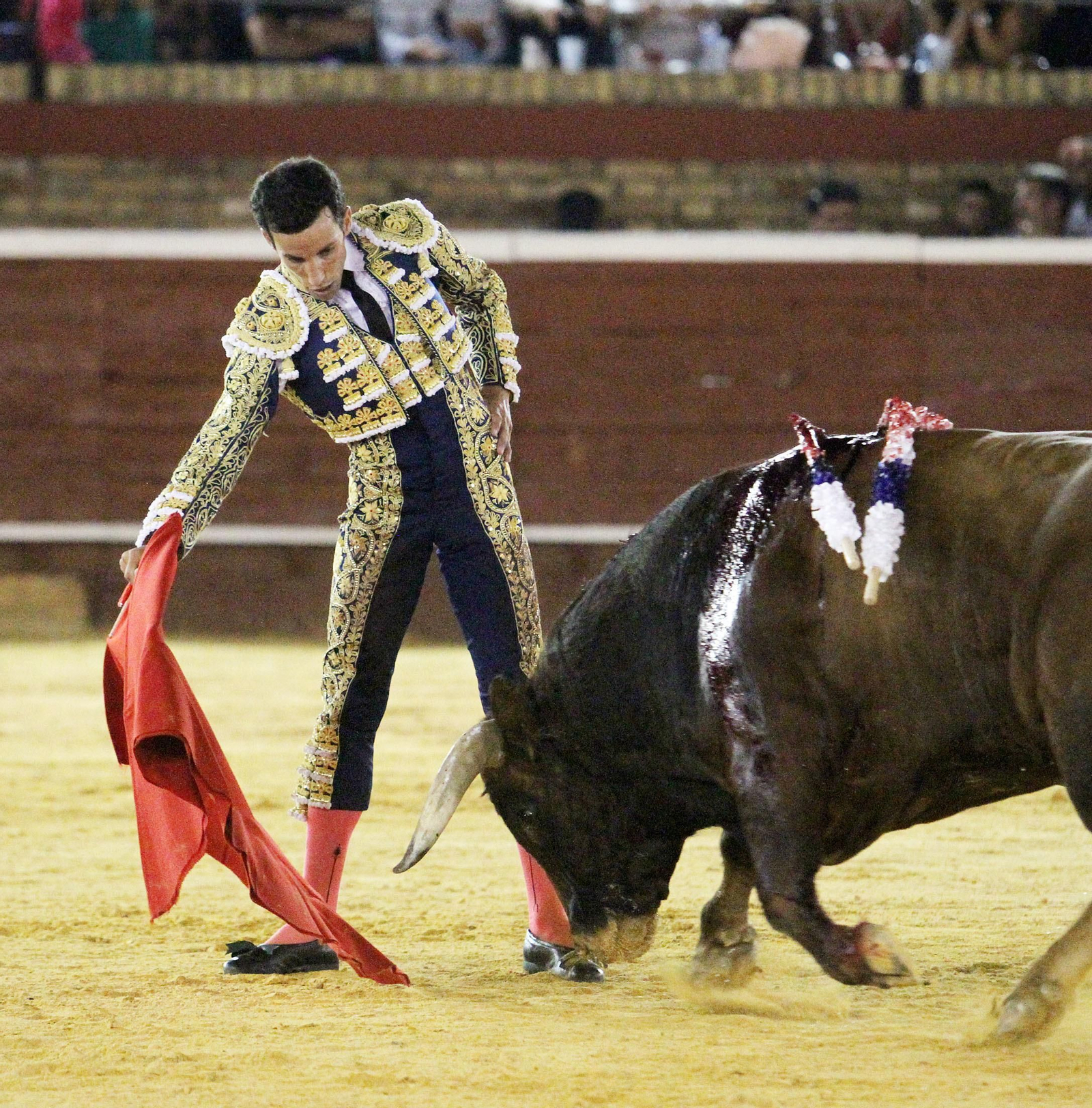David de Miranda durante la corrida de esta tarde en la Plaza de Toros La Merced