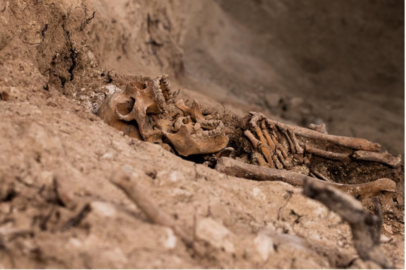 Restos humanos encontrados en una intervención anterior en la zona