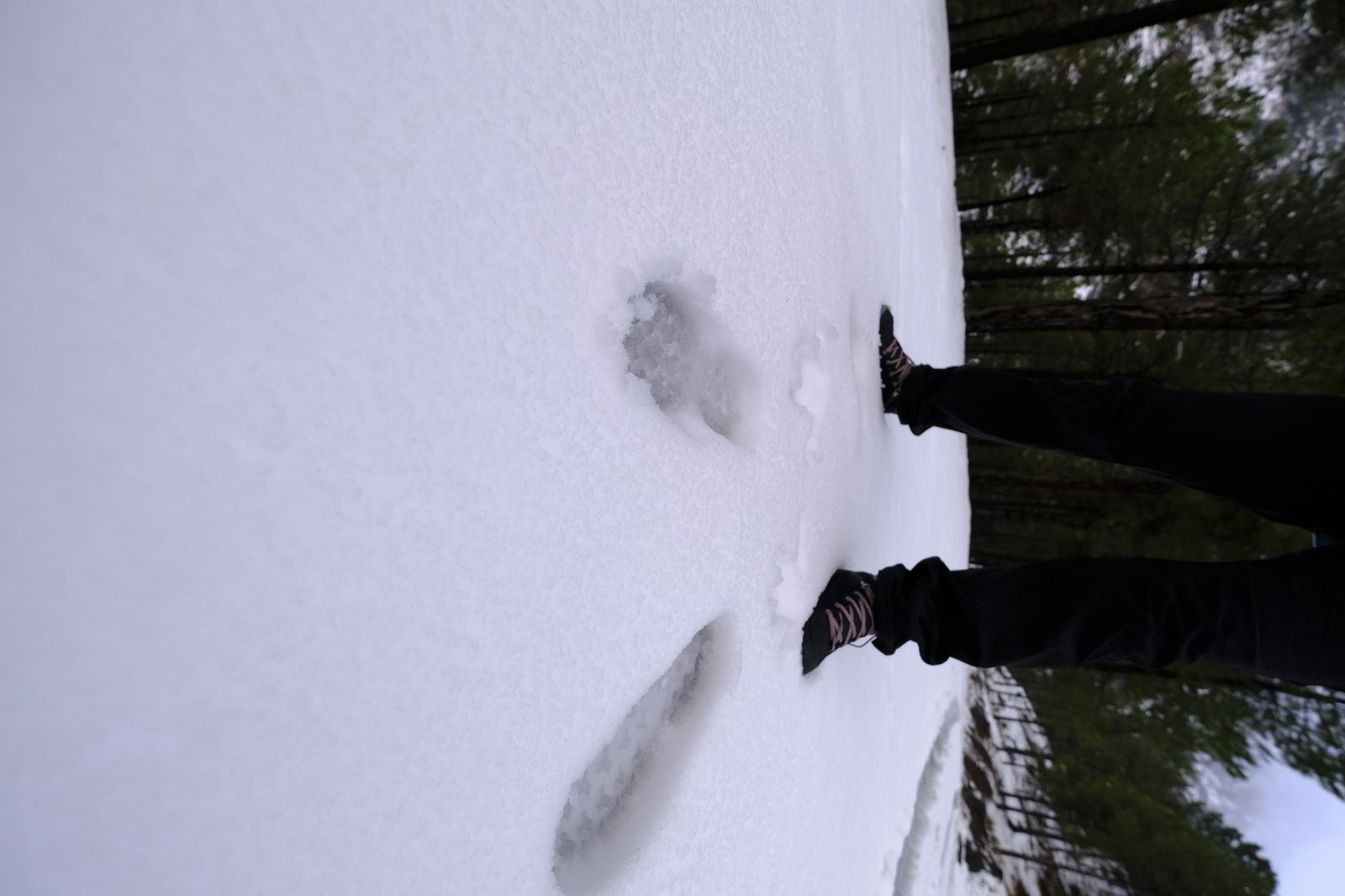 Fotogalería nevada en la Provincia de Almería