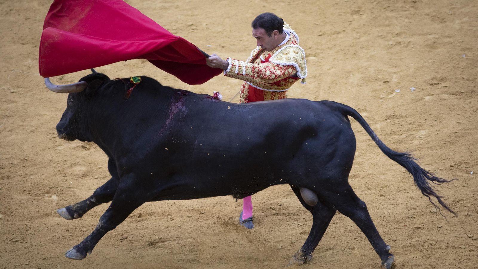 Enrique Ponce, en pleno pase
