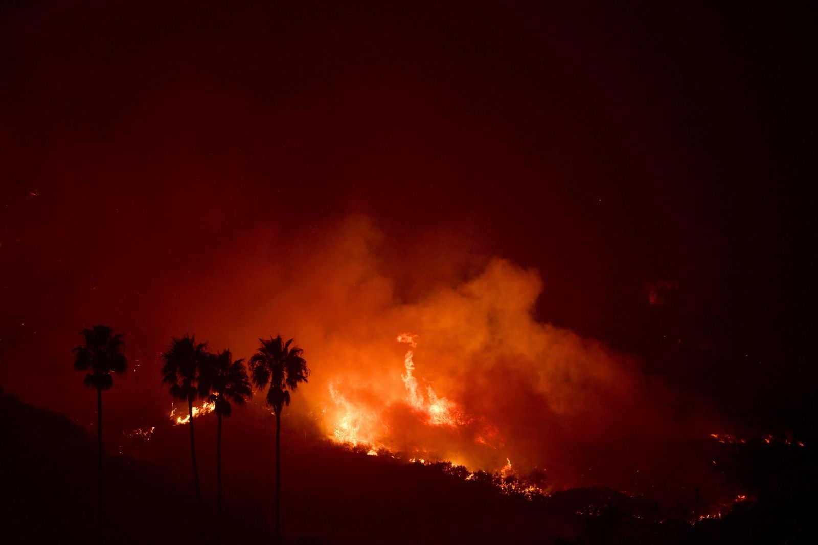 Las impresionantes imágenes del incendio Franklin que azota Estados Unidos