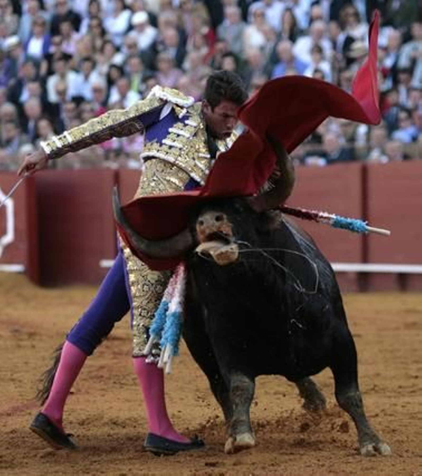 Manzanares con el segundo de la tarde en la treceava del abono de La Maestranza.

Foto: Juan Carlos Muñoz