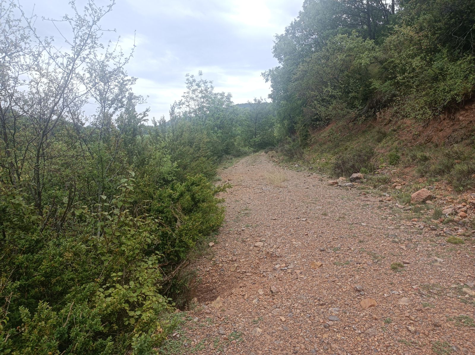 Una pista tras la senda cabañera.