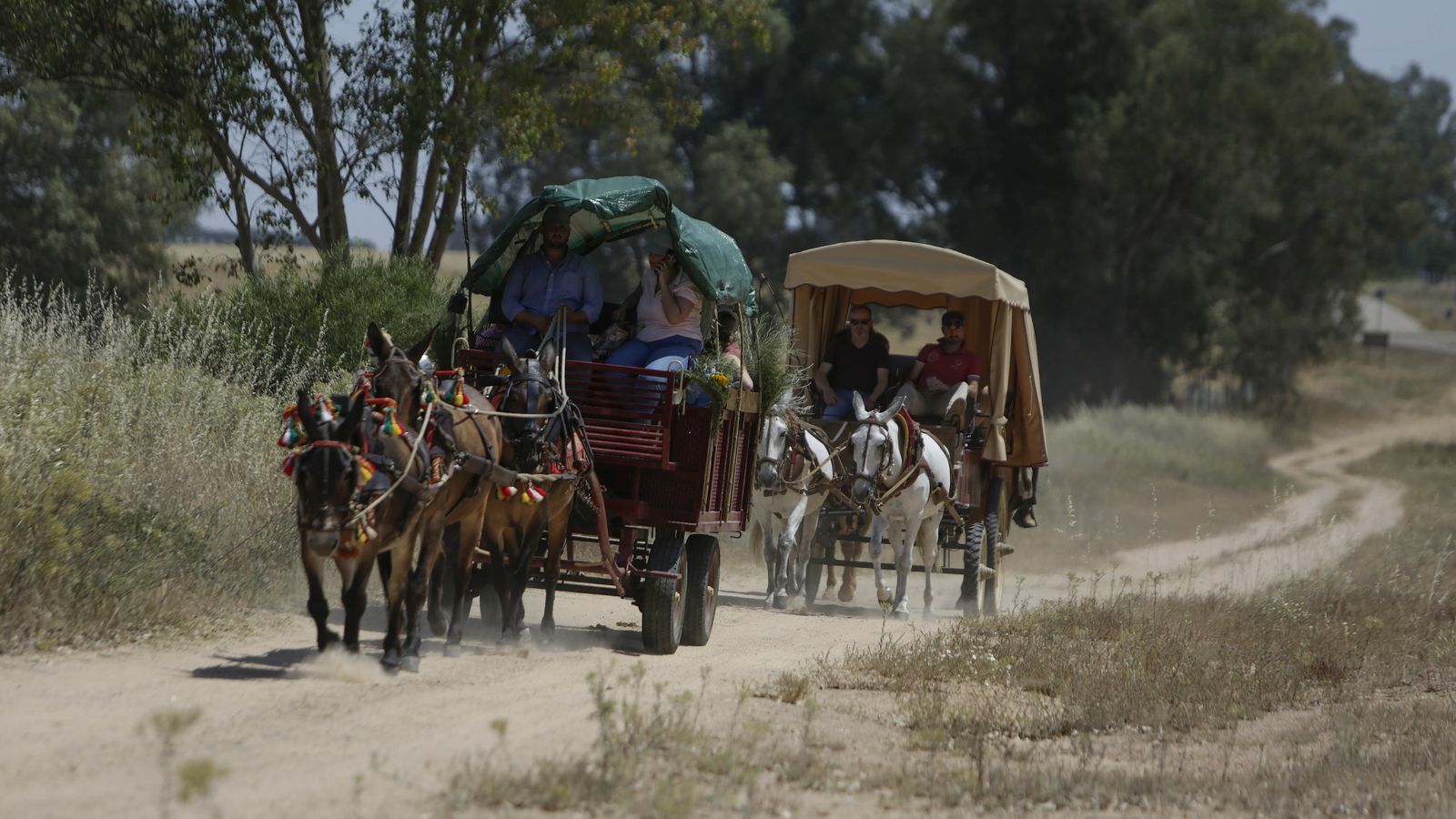 Imágenes de un viernes de Rocío sin romería