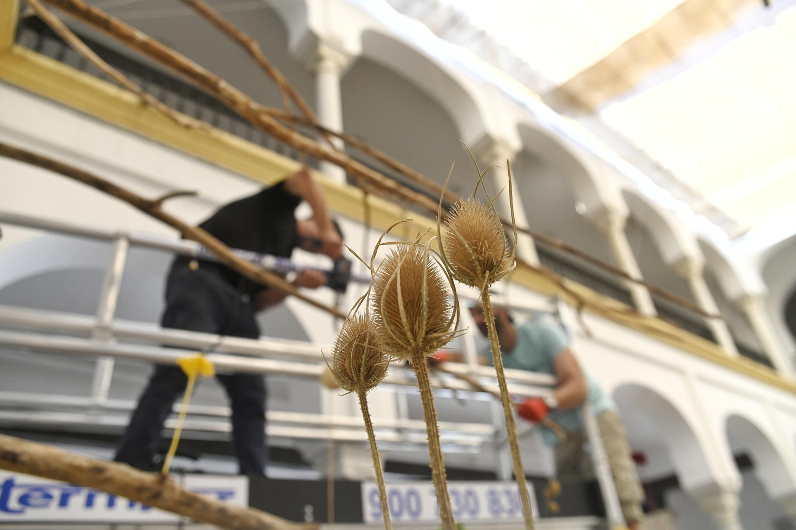 Inicio de los montajes de Flora 2025.