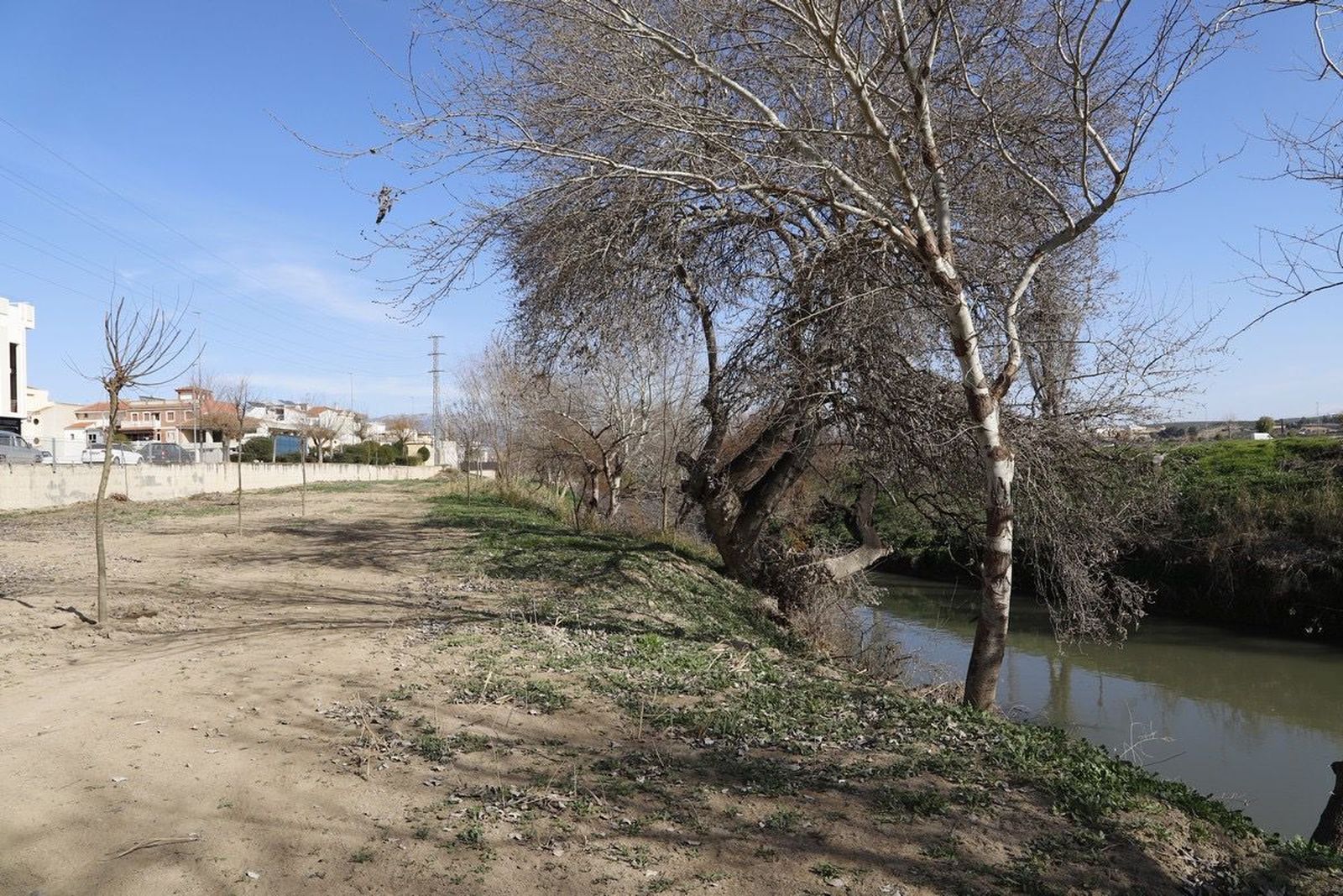 El Ayuntamiento de Huétor Tájar plantará 400 árboles en su nueva zona verde