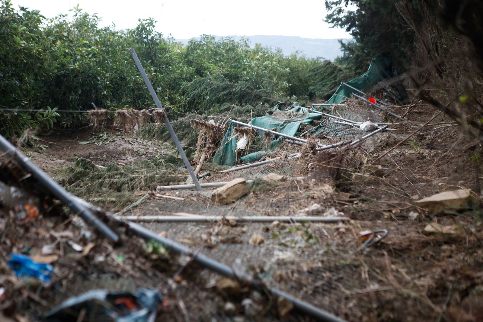 Fotos de las consecuencias de la borrasca Francis en Tesorillo y Jimena