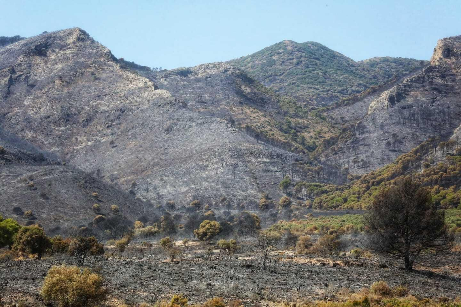 Las fotos de las zonas arrasadas por el incendio en la Sierra de Mijas