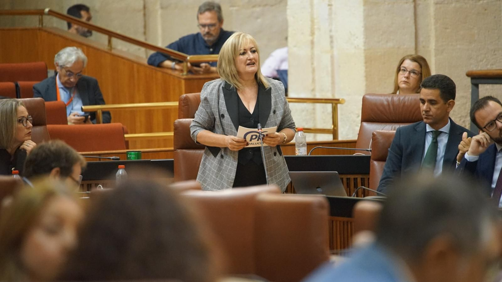 La parlamentaria del PP por Granada, Celia Santiago