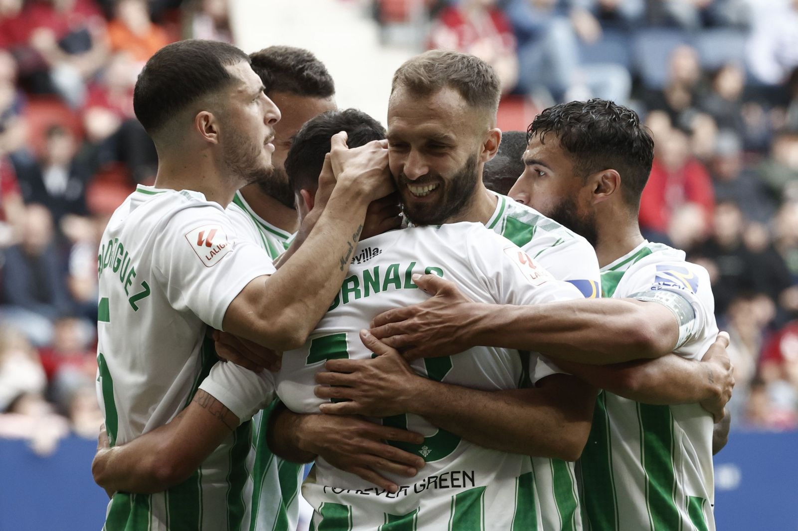 Las fotos del Osasuna - Betis
