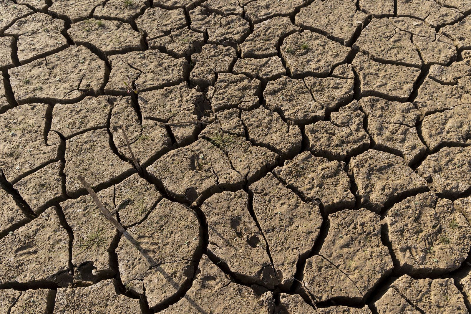 Suelo resquebrajado de un pantano en Málaga.