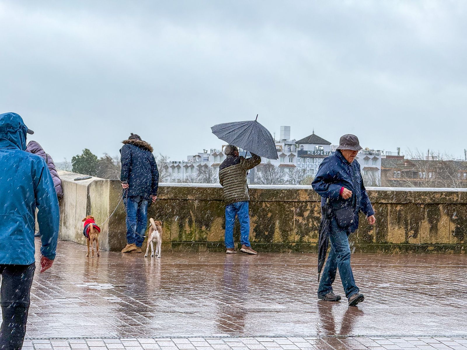 Las fuertes rachas de viento y la lluvia dejan las calles de Córdoba vacías