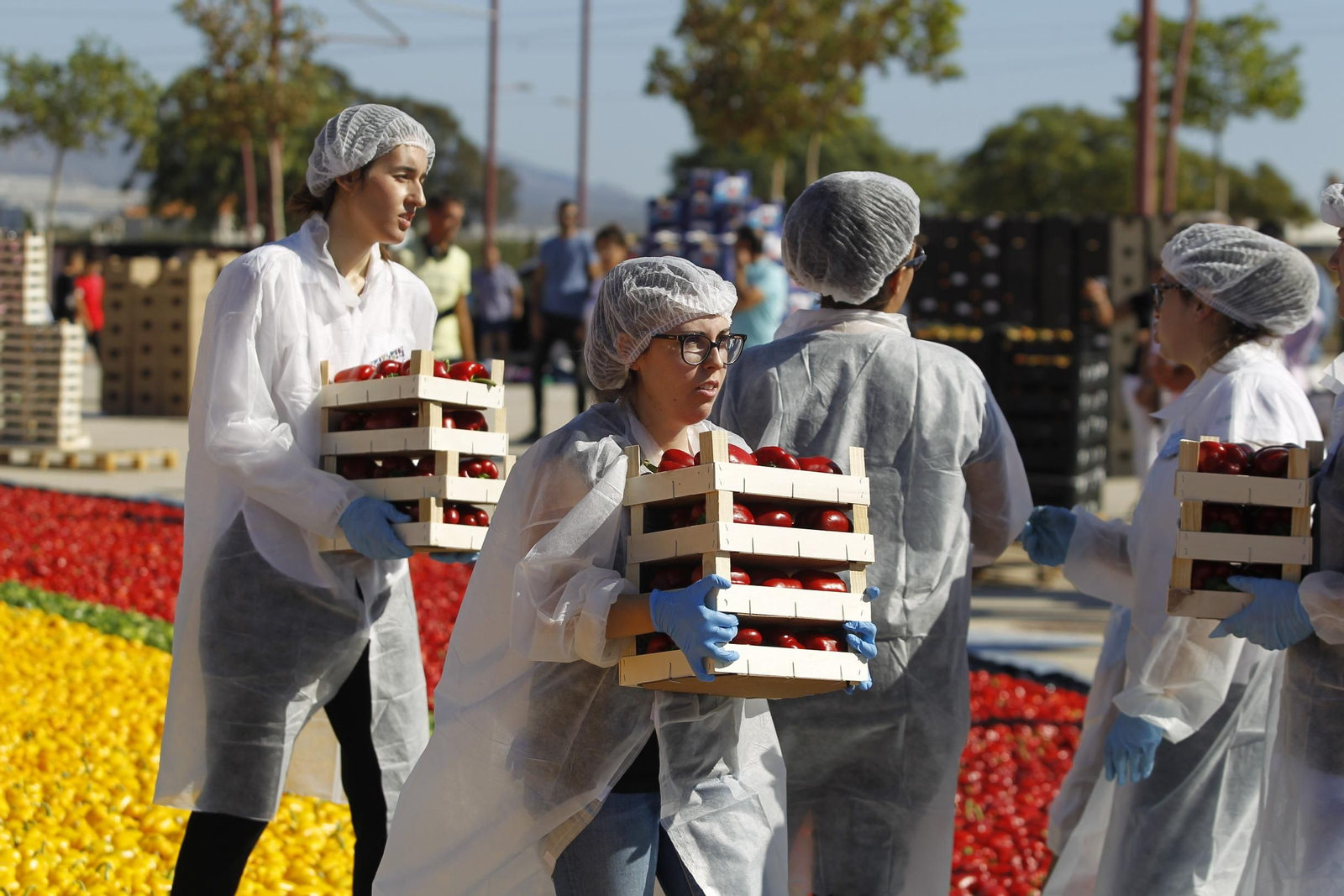 Fotogalería Récord Guinness Corazón Hortalizas Almería