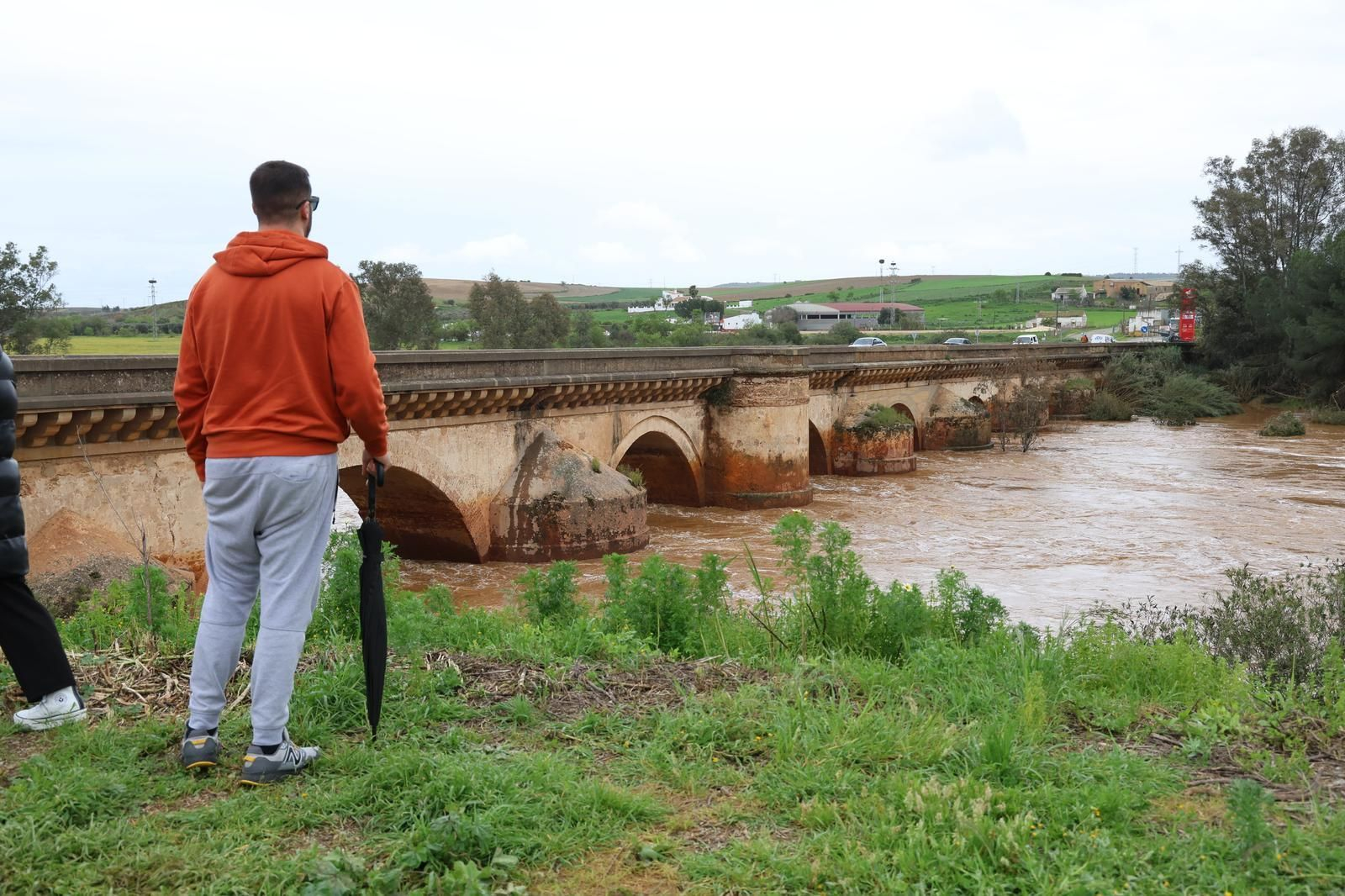 Imágenes del río Tinto a su paso por Niebla tras la borrasca Laurence