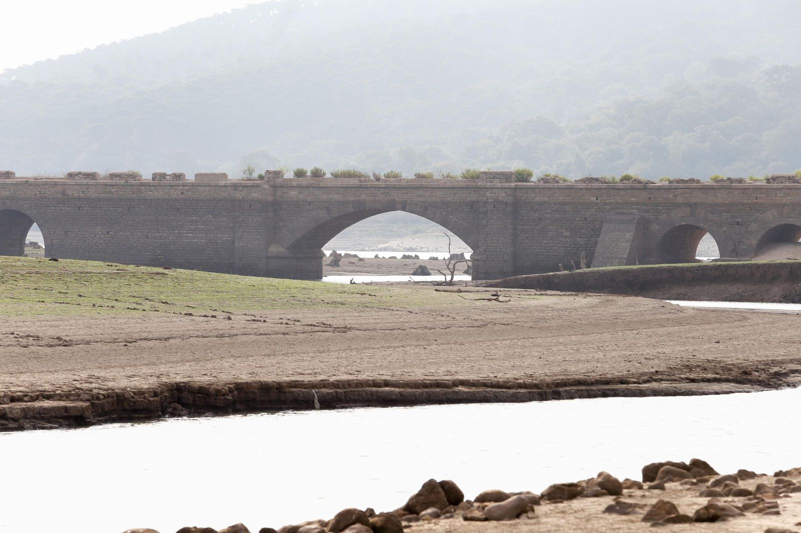 Fotos del estado del pantano de Charco Redondo en Los Barrios