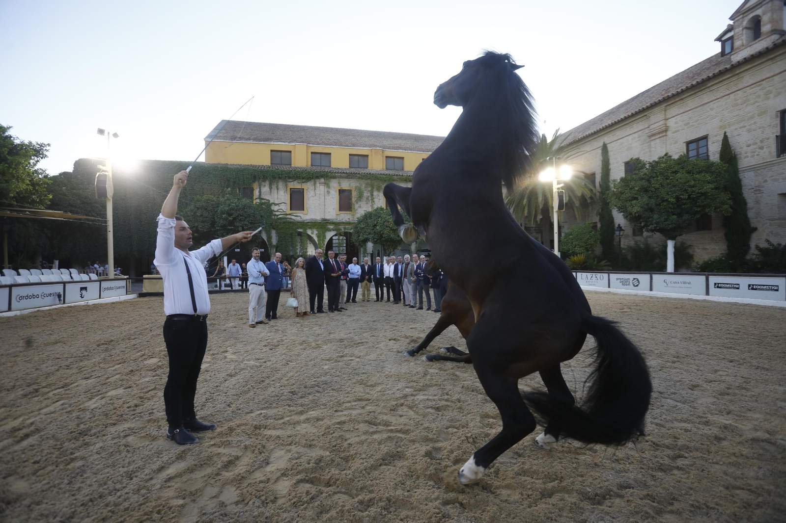 El arranque del XXVII Concurso Morfológico de La Feria del Caballo de Córdoba, en imágenes