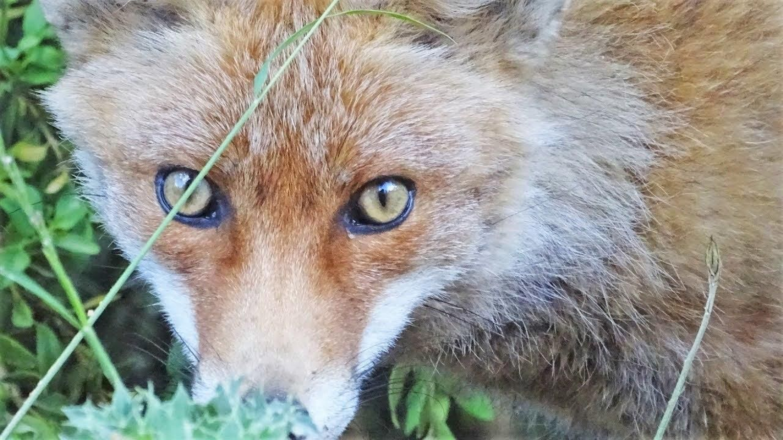 El río Guadalquivir nace en la provincia de Jaén.