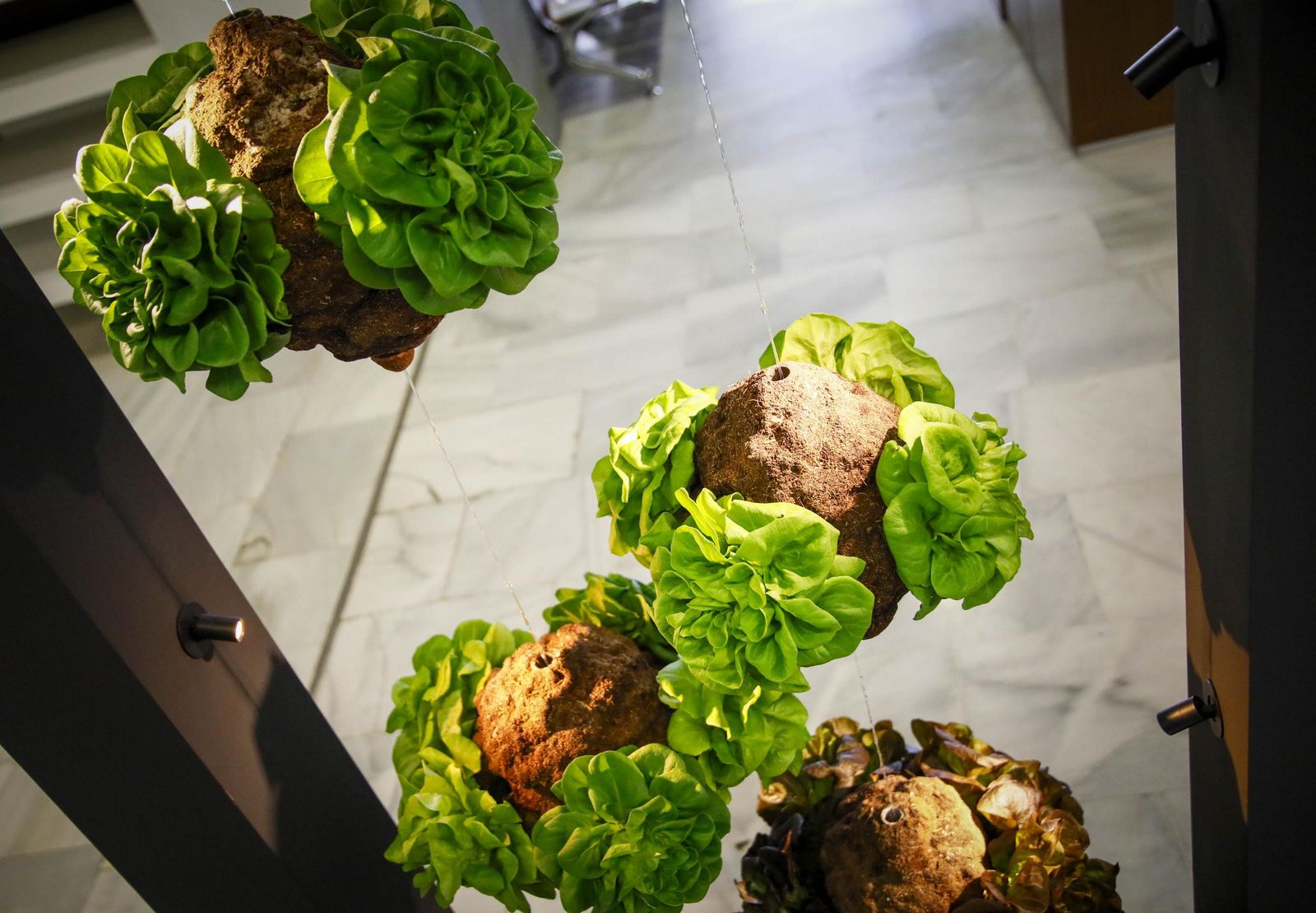 Imágenes de la inauguración de Vestial 20205 en el Palacio del Toyo