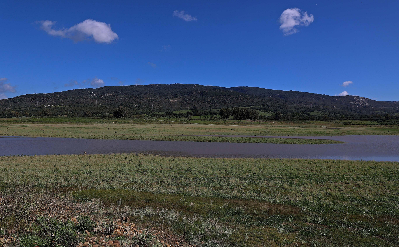 Imágenes del estado actual de los pantanos del Campo de Gibraltar