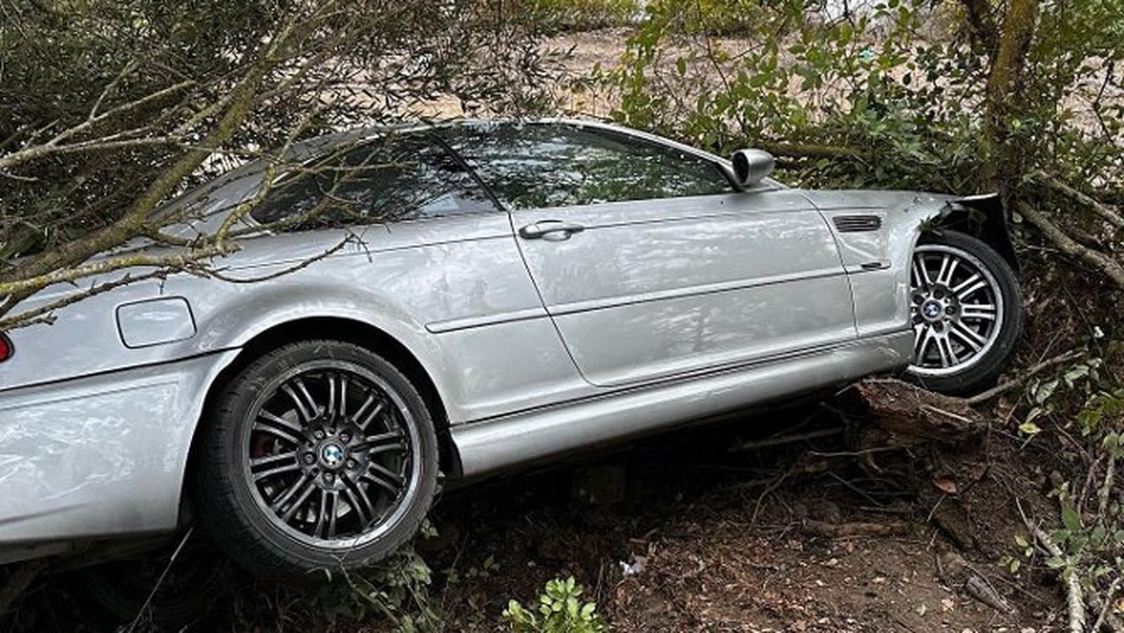 El coche accidentado entre los árboles.