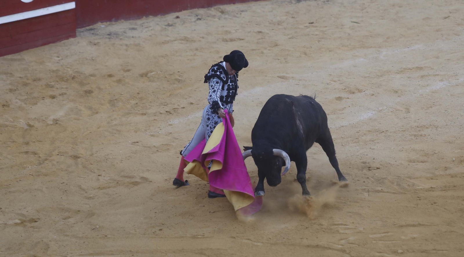Las fotos de la corrida de toros de David Galván, Daniel Luque y Joaquín Galdós en San Roque