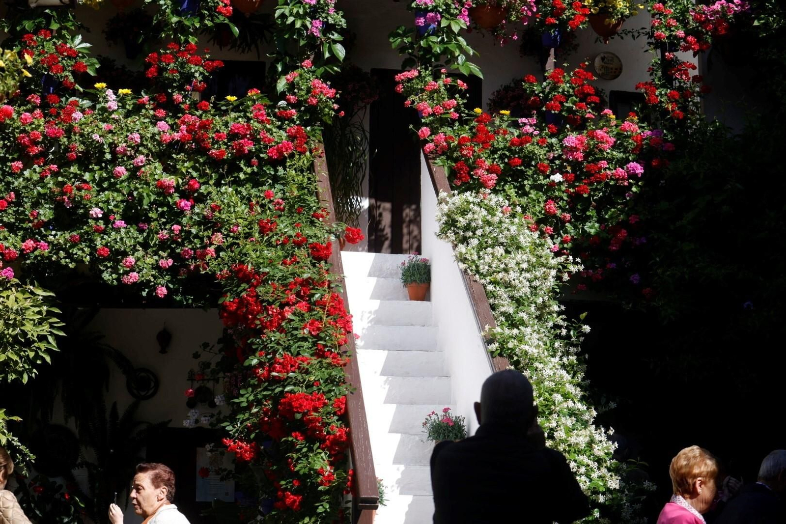 Las mejores imágenes del primer día de Patios en Córdoba