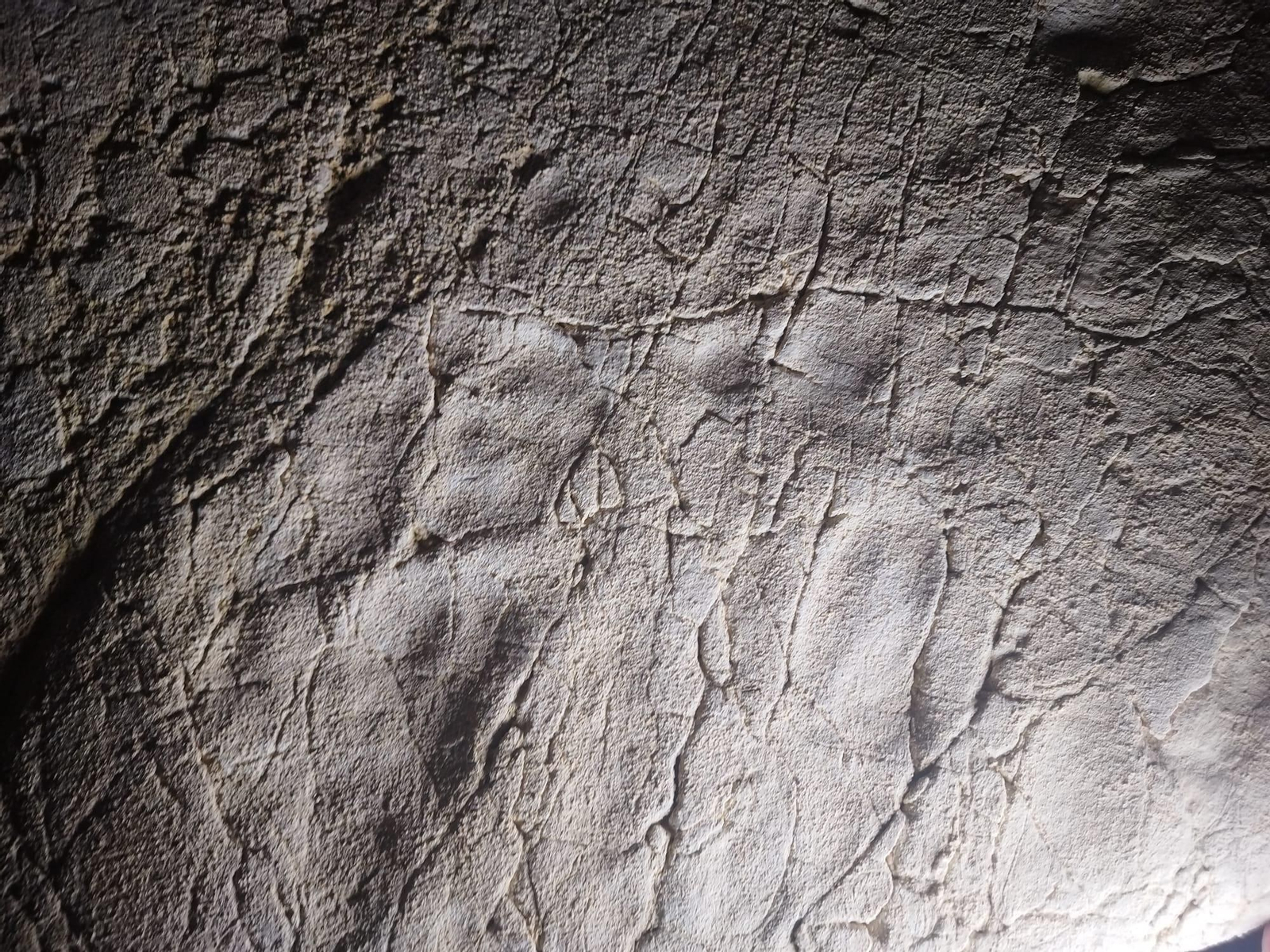 Así son las huellas humanas descubiertas en la Cueva del Tesoro de Rincón