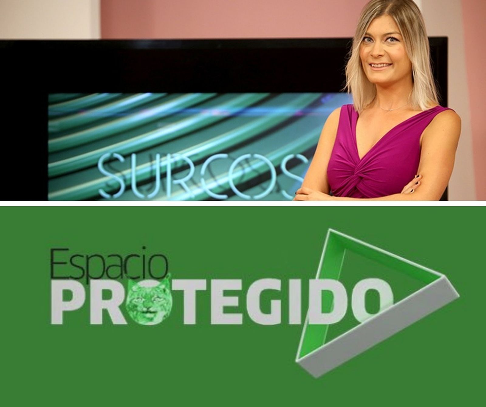 Galardonados en los premios Huellas.