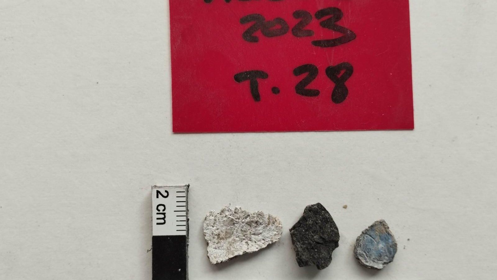 Huesos pertenecientes al mismo sujeto, misma región anatómica, pero que han estado sometidos a diferentes grados de cremación.