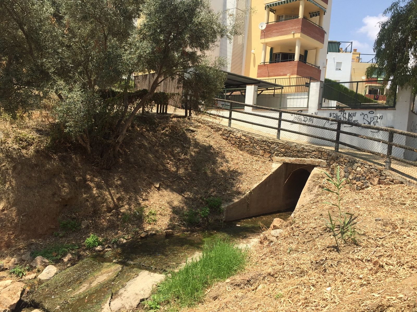 Estado del arroyo Coronas esta semana.