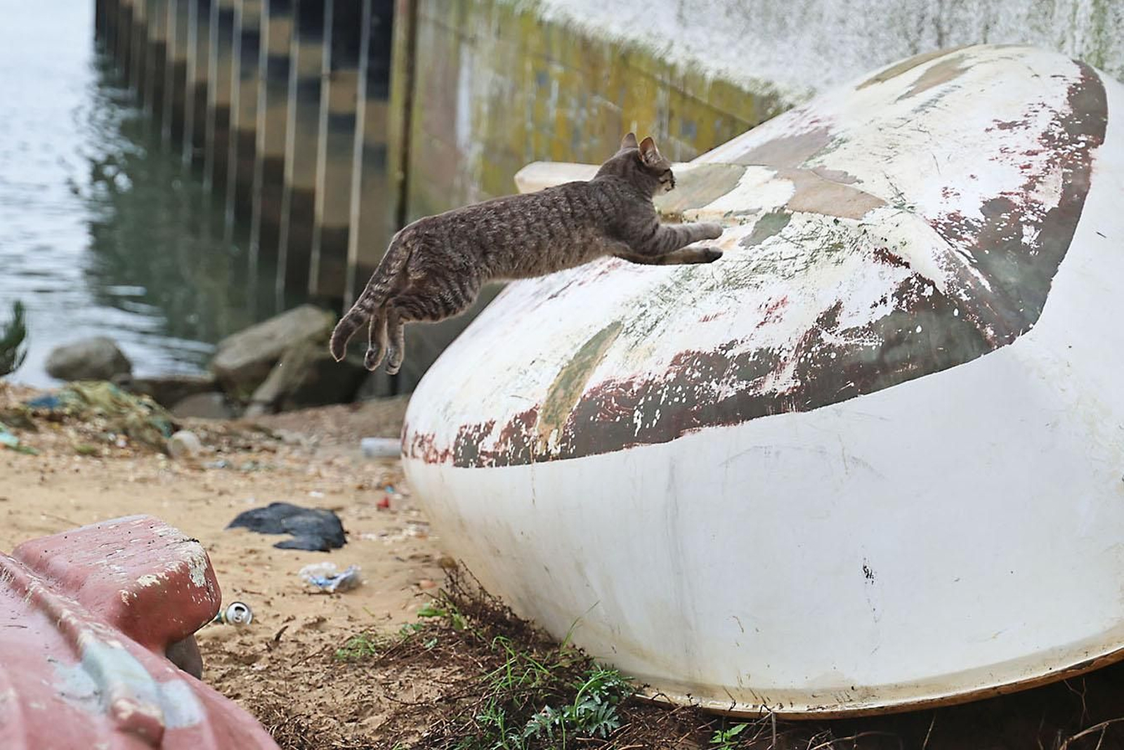 Las imágenes más destacadas del viernes 28 de febrero en Huelva