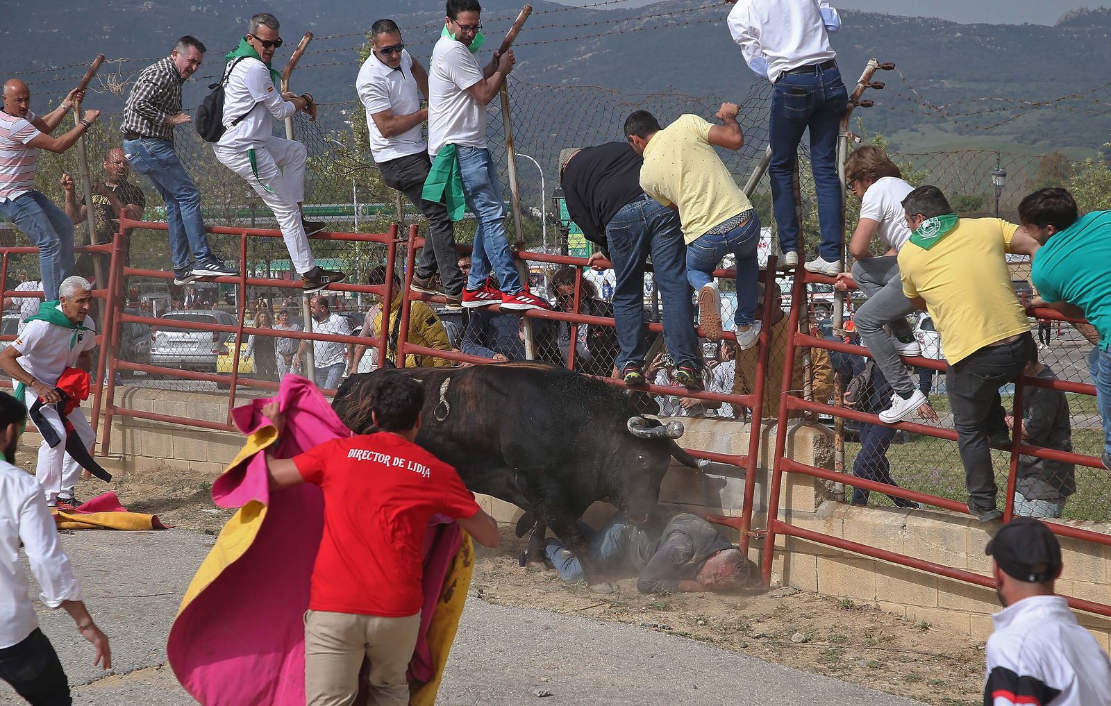 Fotos del Toro Embolao en Los Barrios