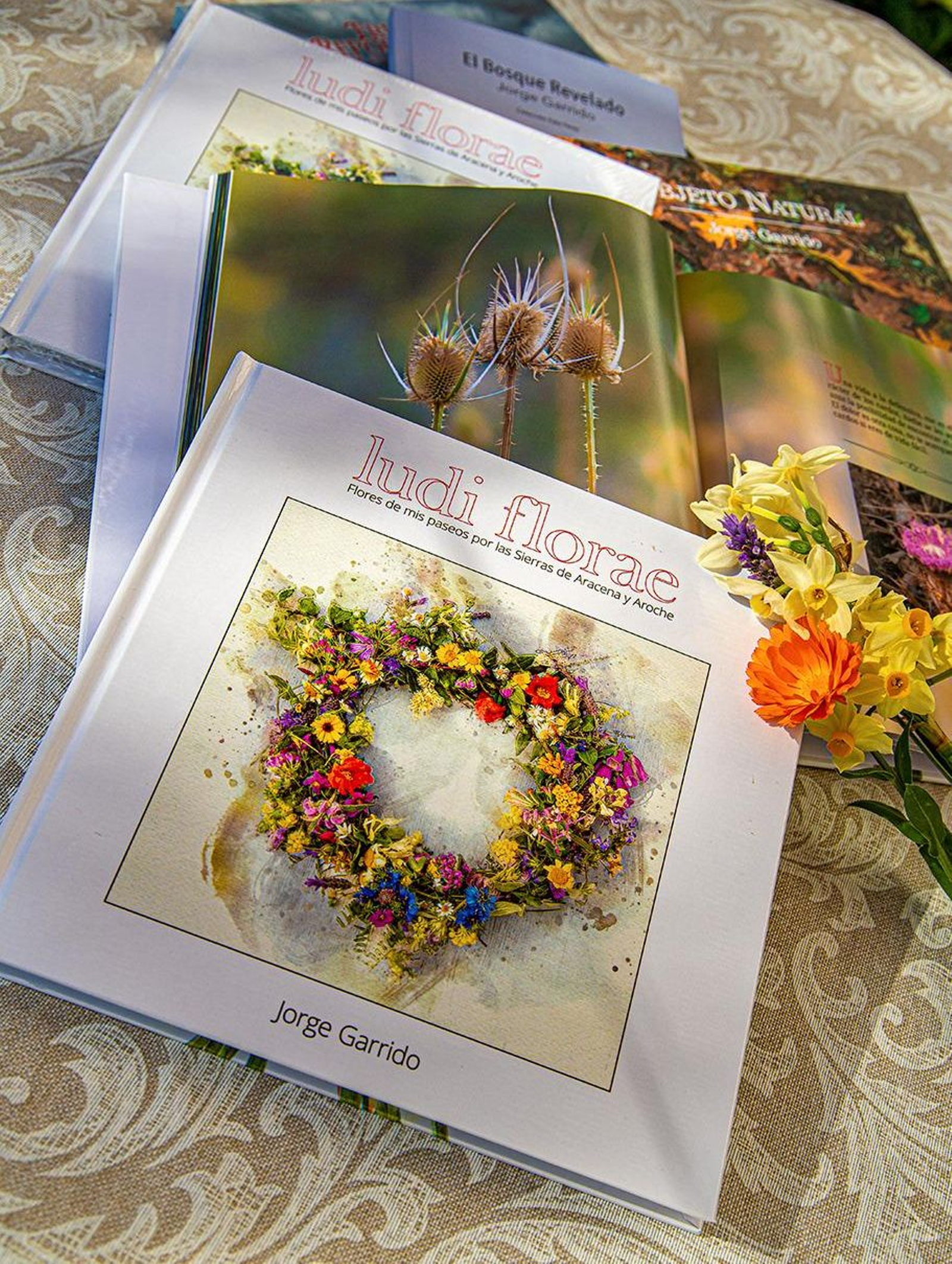 Libros del autor Jorge Garrido.