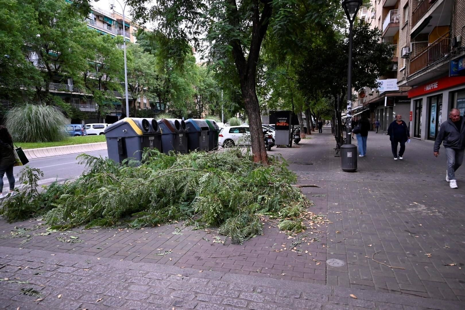 Los daños causados por la borrasca Bernard en Córdoba, en imágenes
