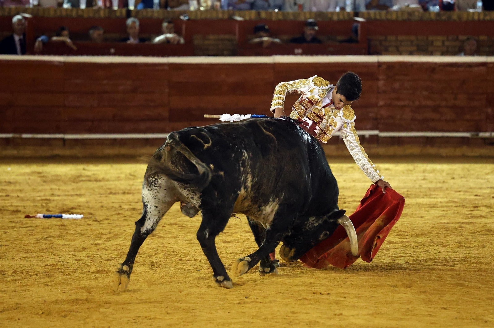 Toros La Merced 2025: Imágenes de la corrida de David de Miranda, Marco Pérez y Borja Jiménez