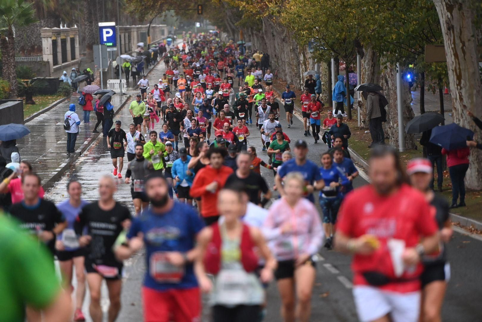 La Maratón de Málaga 2022, en fotos