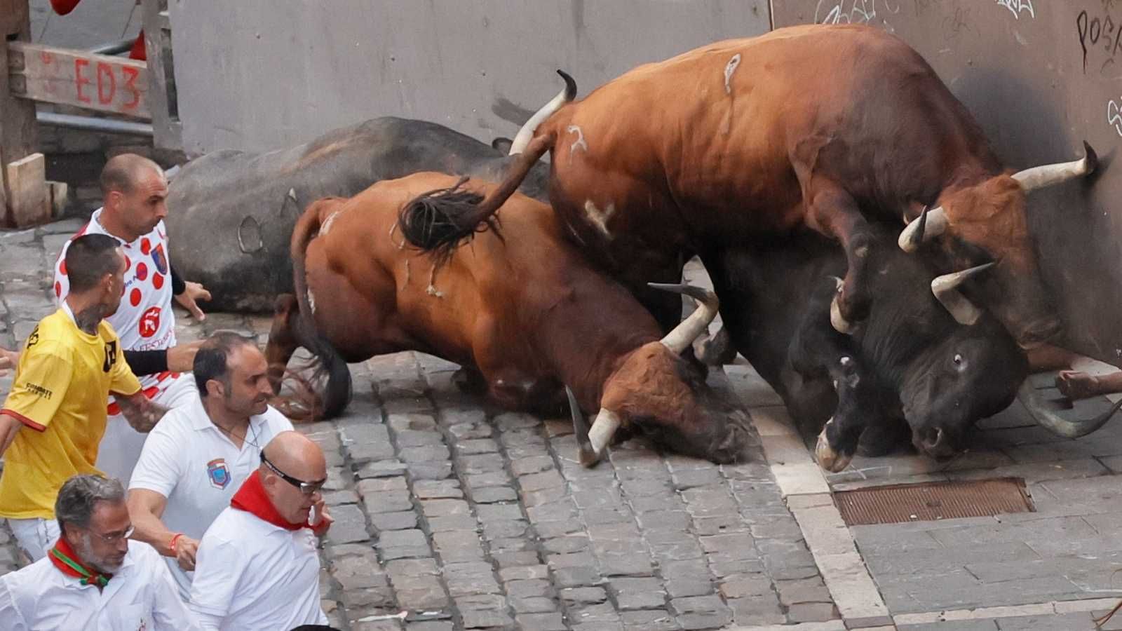Los toros de Cebada Gago este lunes por las calles de Pamplona
