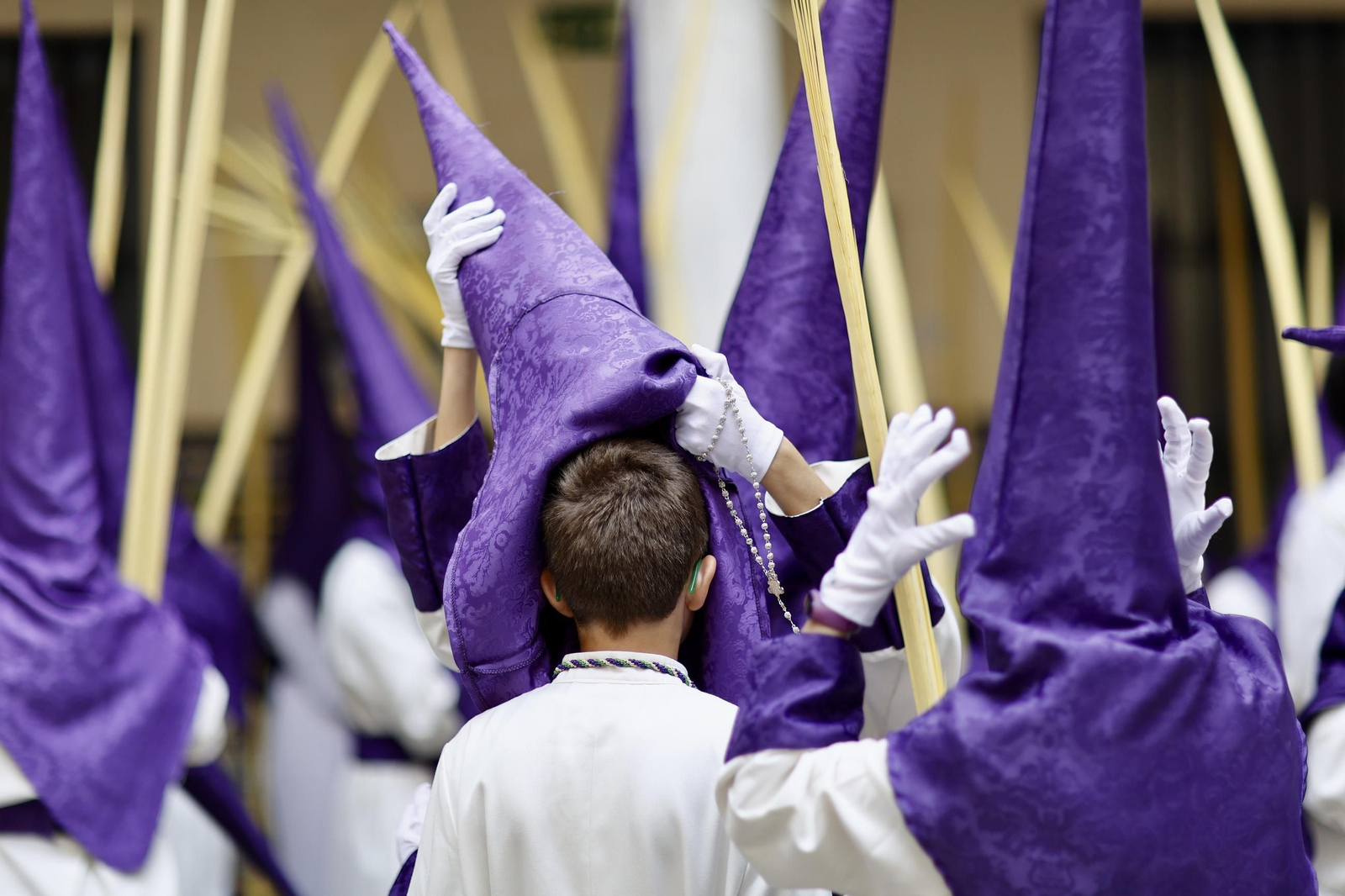 La Pollinica el Domingo de Ramos en Málaga, en imágenes