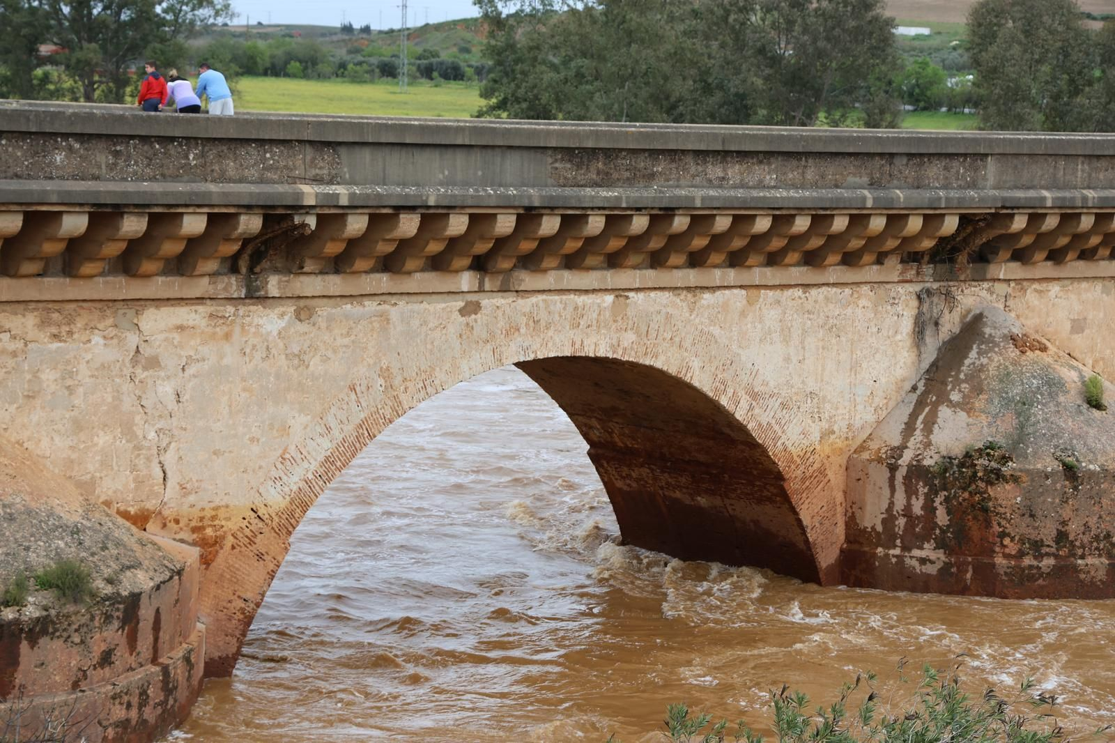 Imágenes del río Tinto a su paso por Niebla tras la borrasca Laurence