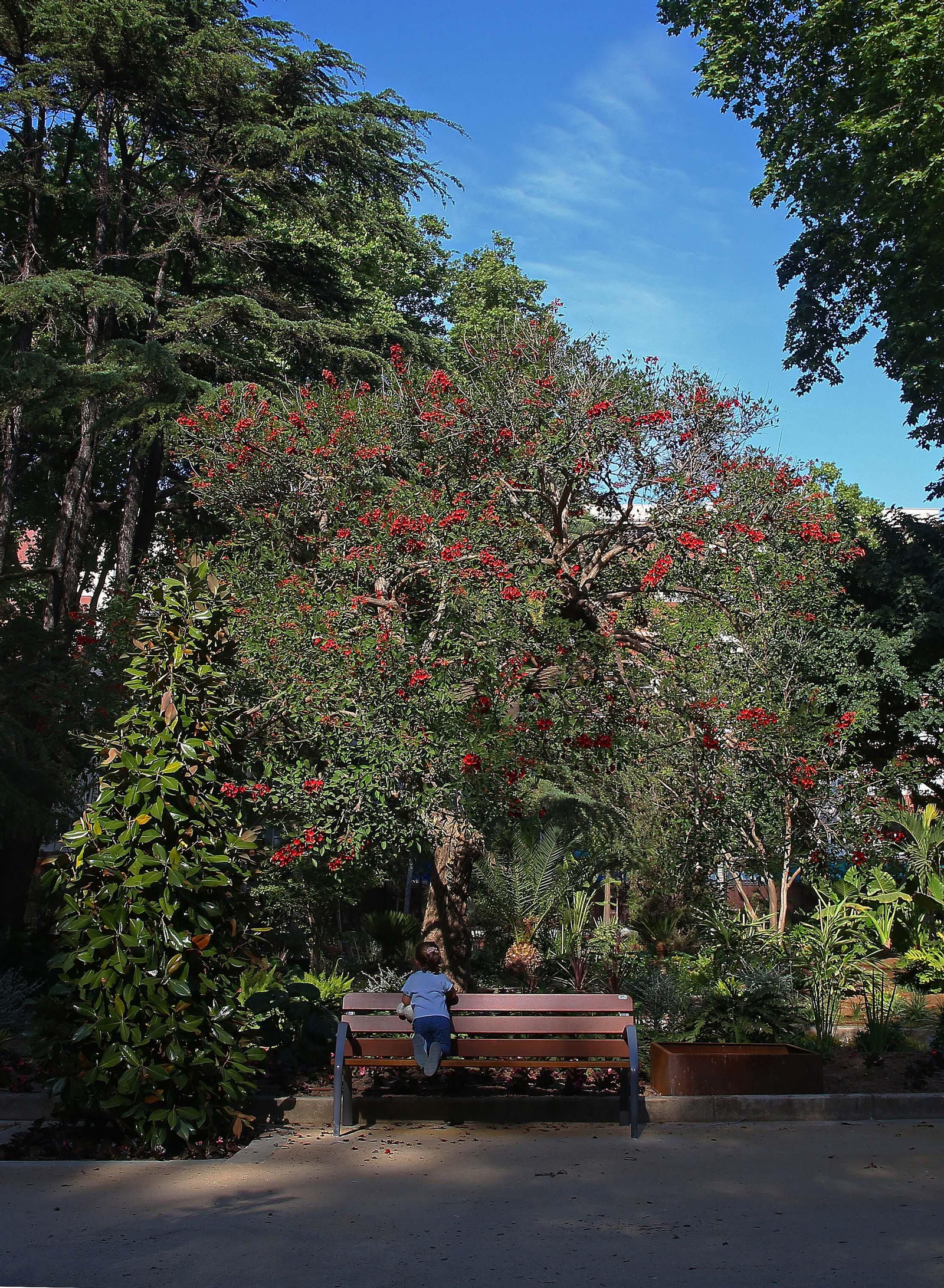 El parque María Cristina de Algeciras, listo para su reapertura