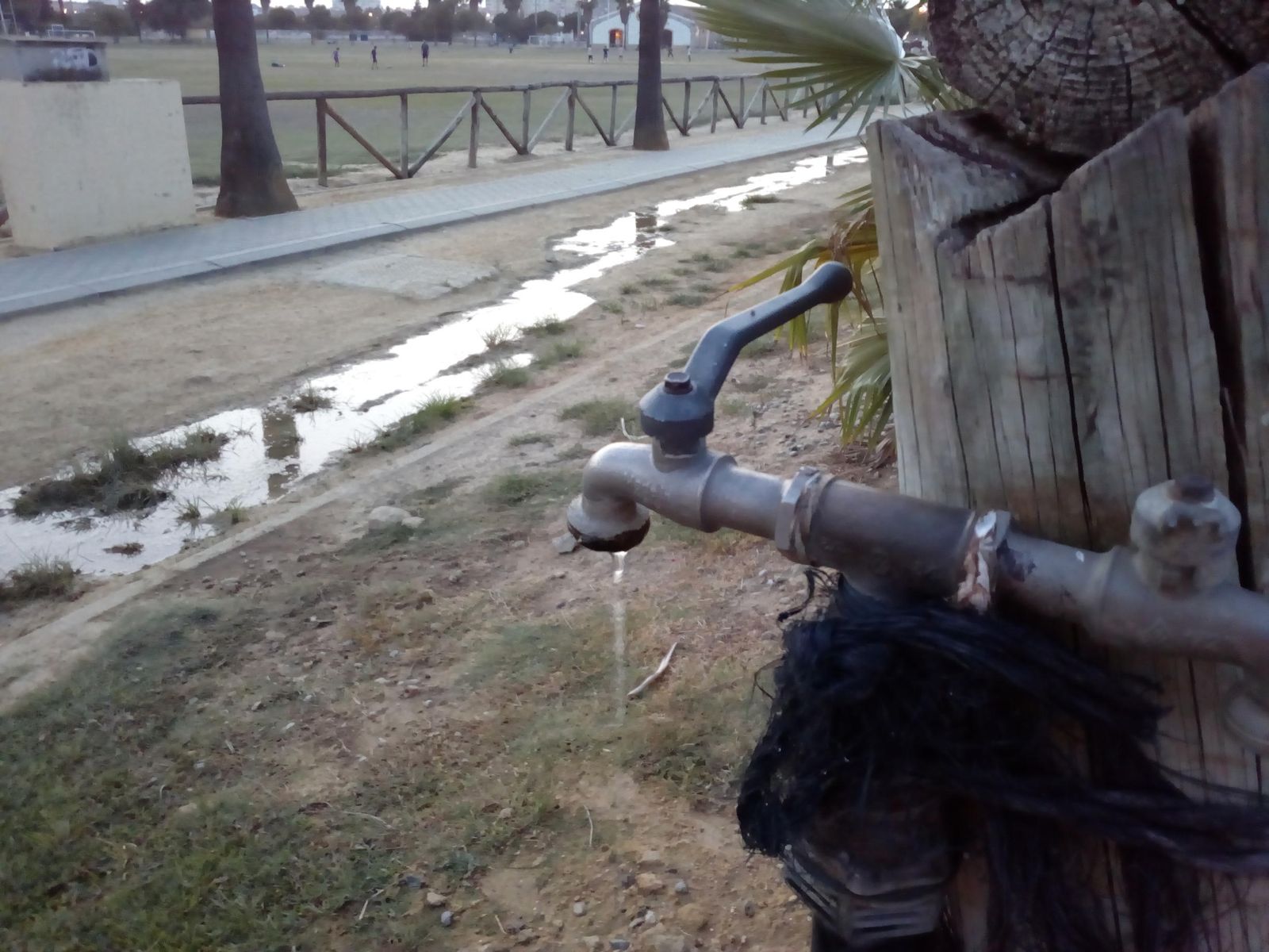 Imagen del reguero de agua alrededor de las pistas.