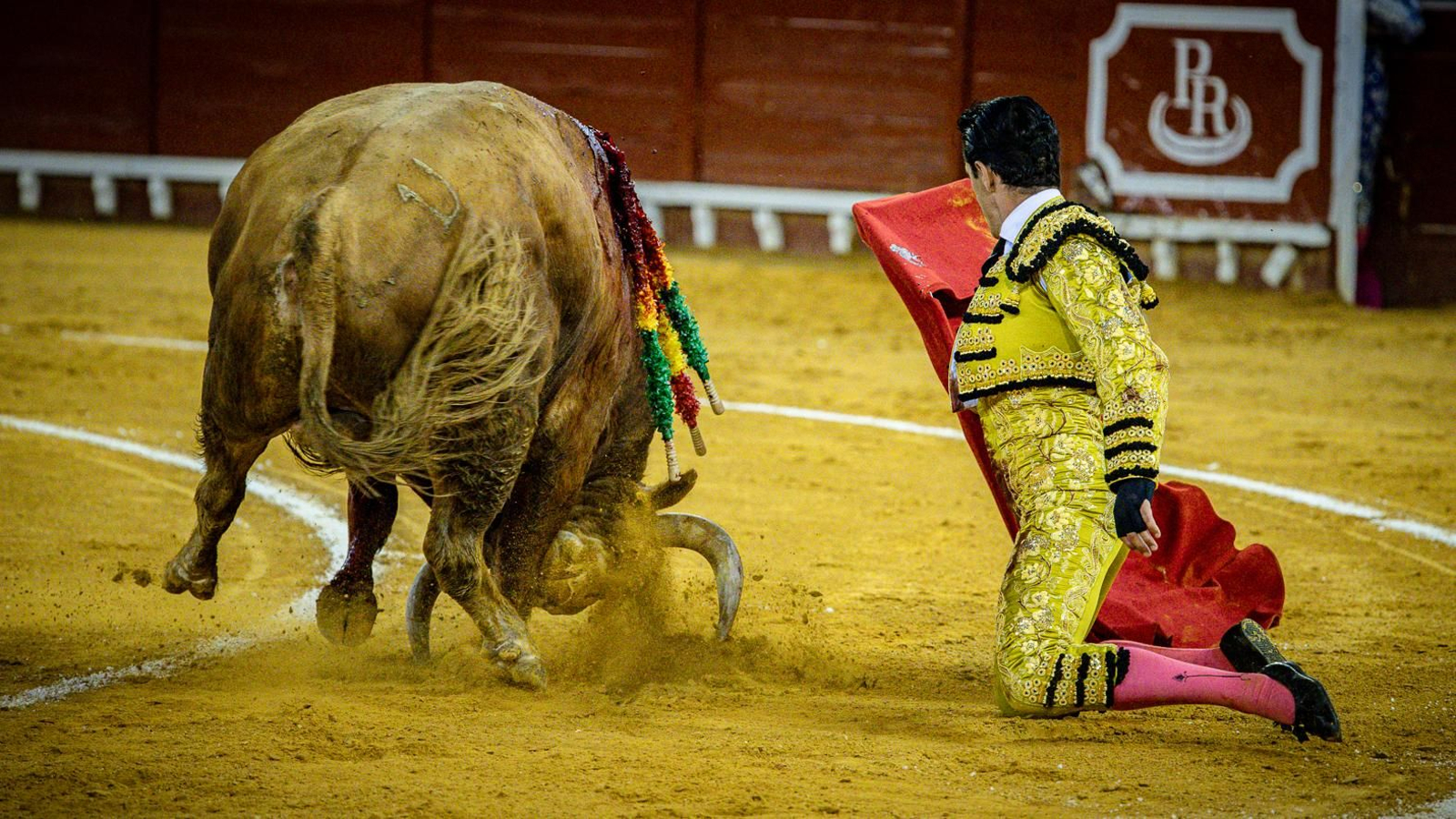 Las imágenes de la corrida de toros en El Puerto: Morante, Talavante y Juan Ortega