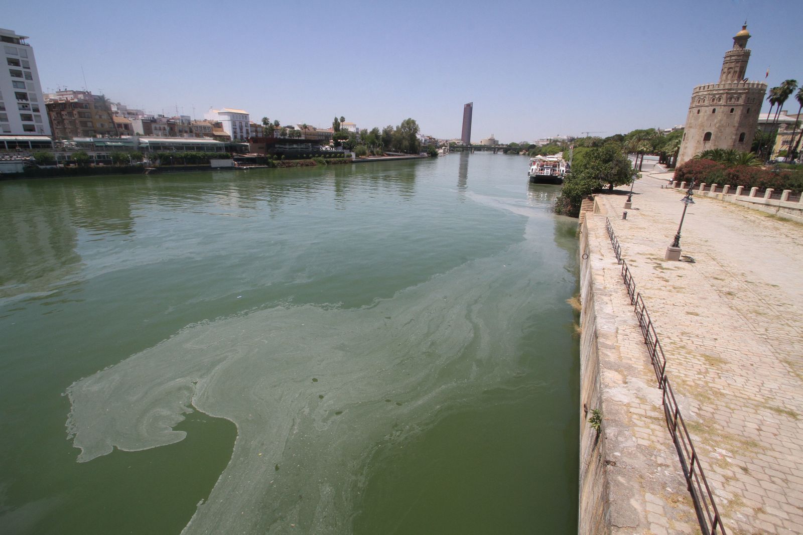 Mancha de aceite en el Guadalquivir