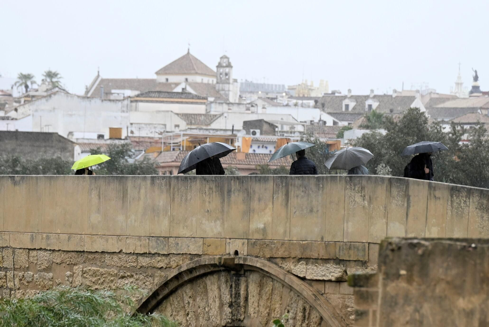 El paso de la borrasca Claudia por Córdoba en imágenes