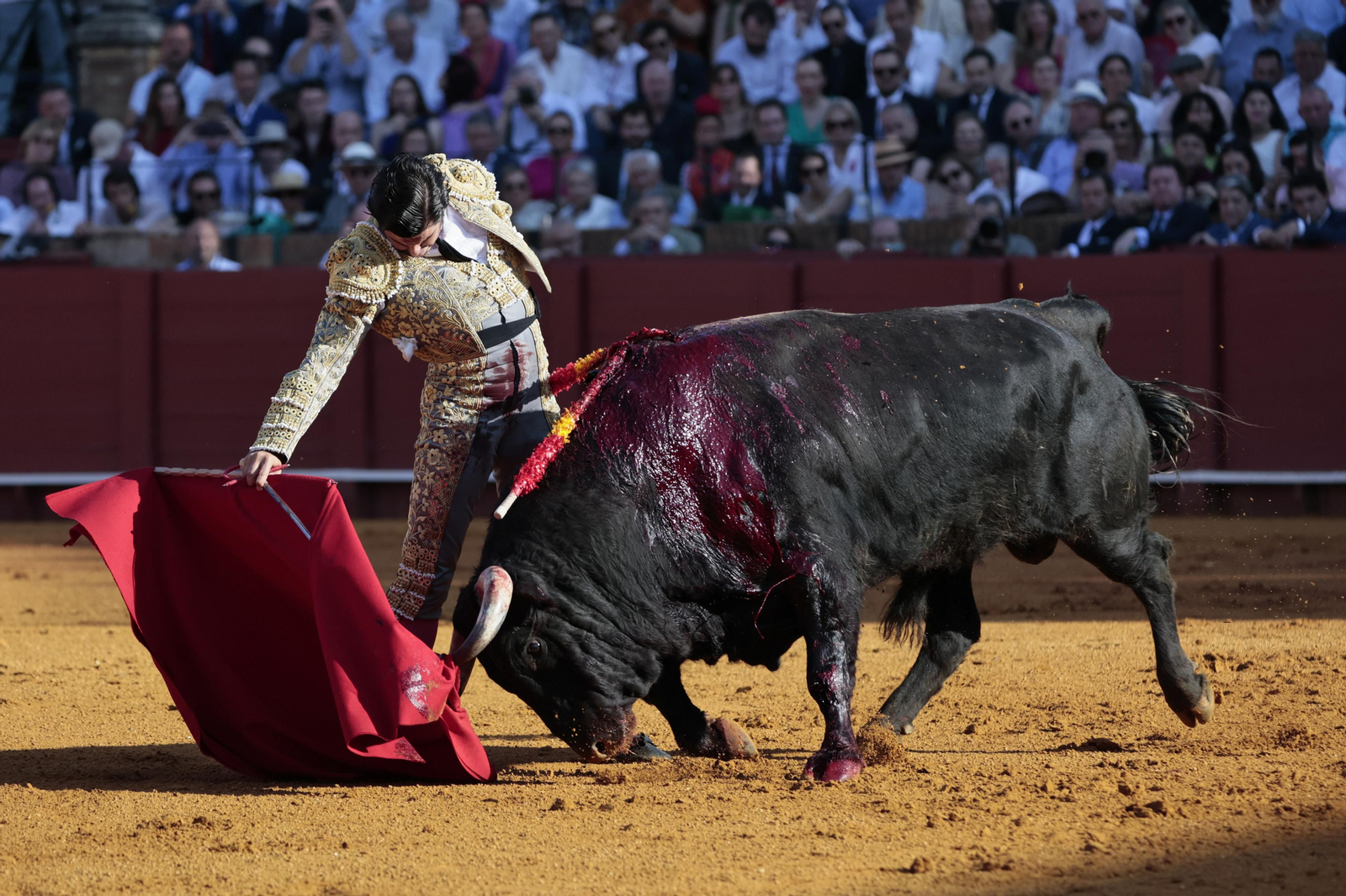 Las imágenes del festejo